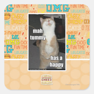 Milliamperestunden-Bauch hat ein glückliches Quadratischer Aufkleber