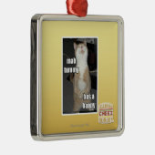 Milliamperestunden-Bauch hat ein glückliches Silbernes Ornament (Rechts)