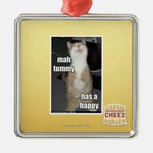 Milliamperestunden-Bauch hat ein glückliches Silbernes Ornament