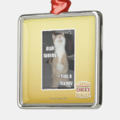 Milliamperestunden-Bauch hat ein glückliches Silbernes Ornament (Links)