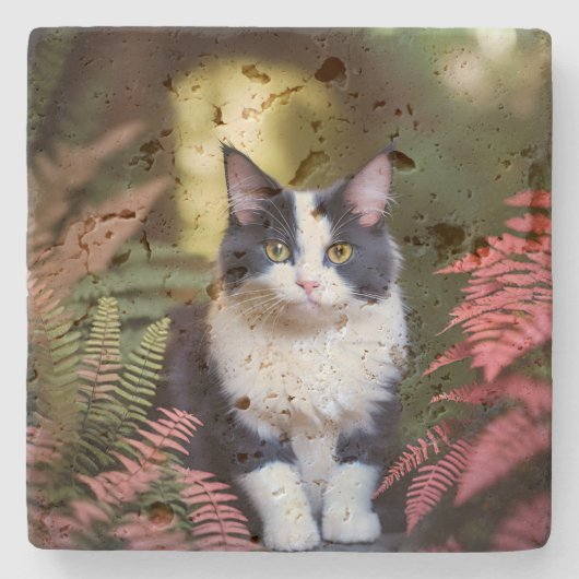 Millie die Ragdoll Katze, Steinuntersetzer (Vorderseite)