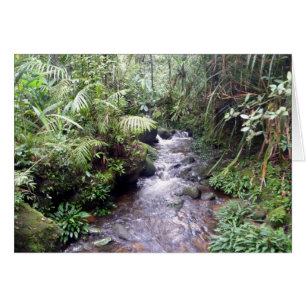 Millikinabalu-Bach