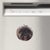 Millionenmagnet Magnet (In Situ (Geschirrspüler))