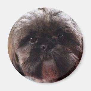 Millionenmagnet Magnet