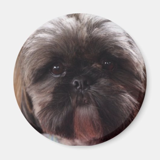 Millionenmagnet Magnet (Vorne)