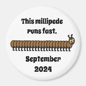 Millipede, braun magnet (Vorne)