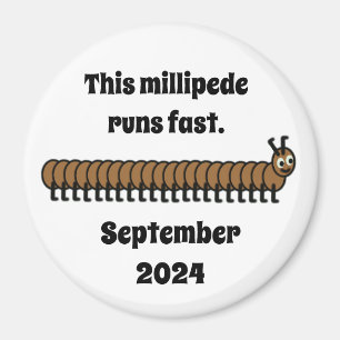 Millipede, braun magnet