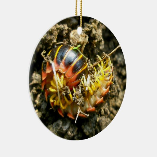 Millipede Polydesmida (Sigmoria aberrans)-Elemente Keramikornament (Rechts)