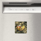 Millipede Polydesmida (Sigmoria aberrans)-Elemente Magnet (In Situ (Geschirrspüler))