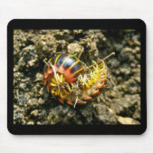 Millipede Polydesmida (Sigmoria aberrans)-Elemente Mousepad (Vorne)