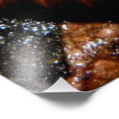 Millipede Spiral Fotodruck (Ecke)