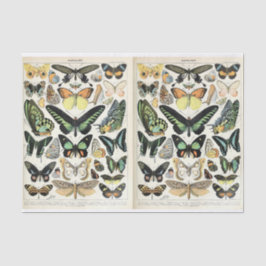 Millot Butterflies Seidenpapier
