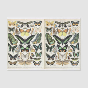 Millot Butterflies Seidenpapier