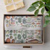Millot Illustrationen, Gartengemüse, Decoupage Seidenpapier (Geschenk)
