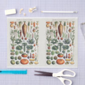 Millot Illustrationen, Gartengemüse, Decoupage Seidenpapier (Handwerk)