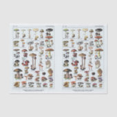 Millot Illustrationen, Pilze, Decoupage Seidenpapier (Vorderseite)