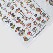 Millot Illustrationen, Pilze, Decoupage Seidenpapier (Ausschnitt)