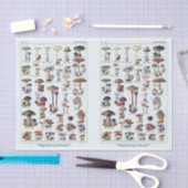 Millot Illustrationen, Pilze, Decoupage Seidenpapier (Handwerk)