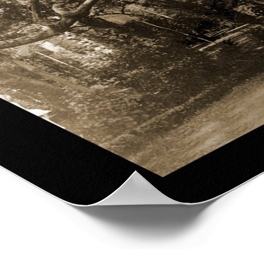 Mills Uni, CA Foto 1915 Poster (Ecke)