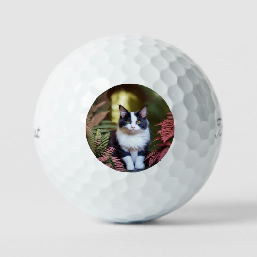 Milly The Ragdoll Cat, Titleist Golf Balls Golfball (Vorderseite)