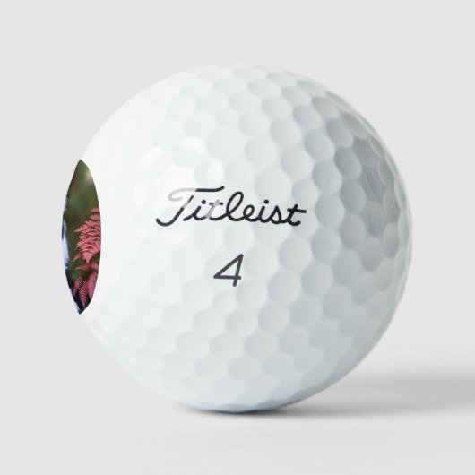 Milly The Ragdoll Cat, Titleist Golf Balls Golfball (Logo)