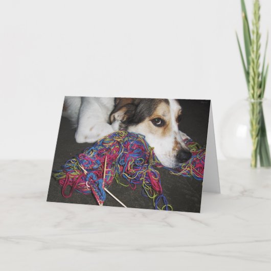 Milo-blank Karte (Vorderseite)