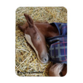 Milton Monday Magnet (Vertikal)