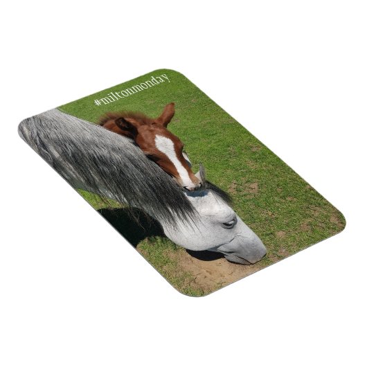 Milton Monday Magnet (Rechte Seite)