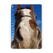 Milton Monday Magnet (Vertikal)