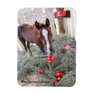 Milton Monday Magnet