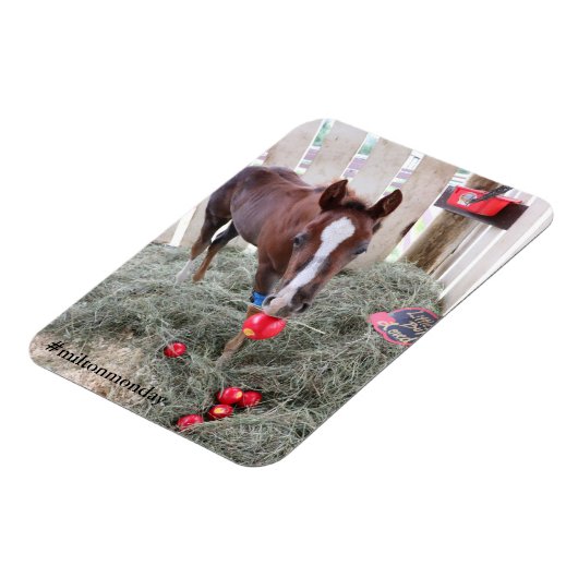 Milton Monday Magnet (Linke Seite)