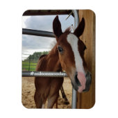 Milton Monday Magnet (Vertikal)