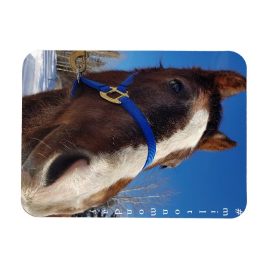 Milton Monday Magnet (Horizontal)