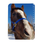 Milton Monday Magnet (Vertikal)