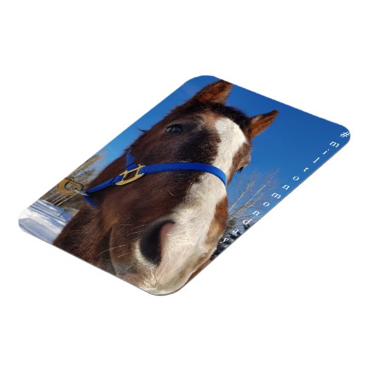 Milton Monday Magnet (Linke Seite)