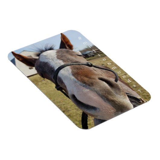 Milton Montag Magnet (Rechte Seite)