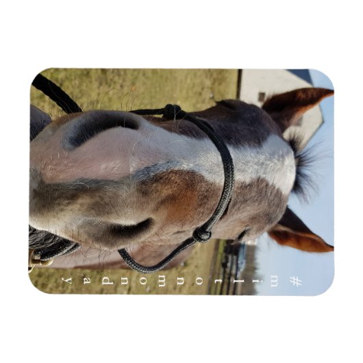 Milton Montag Magnet (Horizontal)