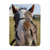 Milton Montag Magnet (Vertikal)