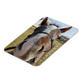 Milton Montag Magnet (Linke Seite)