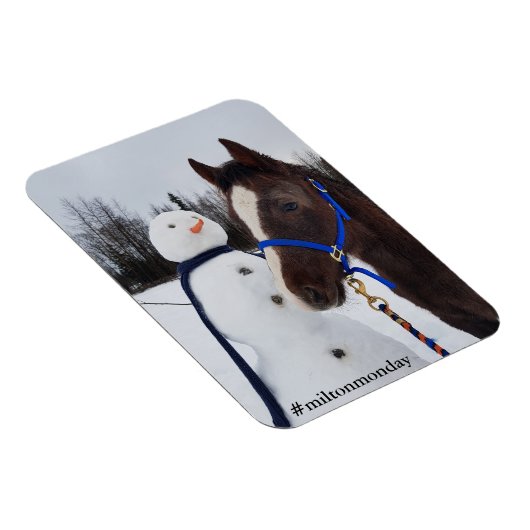 Milton Montag Magnet (Rechte Seite)