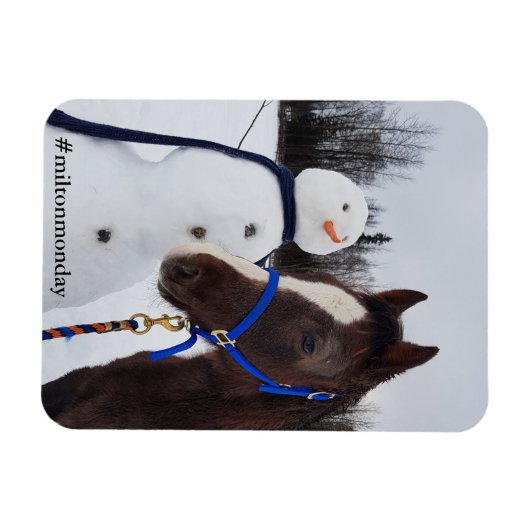 Milton Montag Magnet (Horizontal)