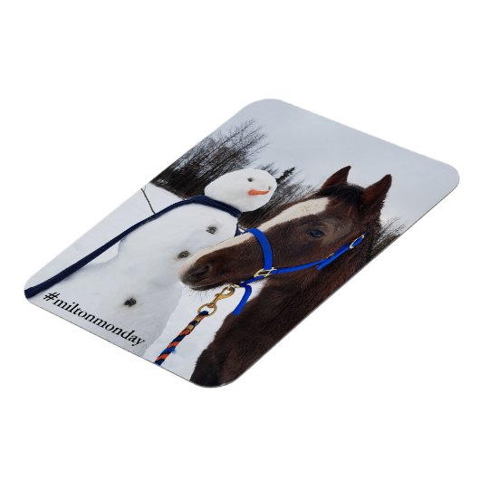 Milton Montag Magnet (Linke Seite)