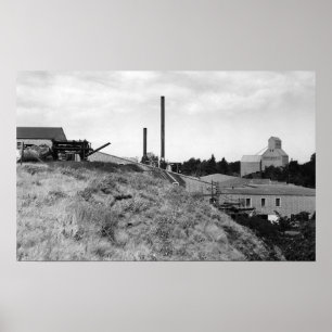 Milton, Oregon Ansicht Town Elevator Foto Poster