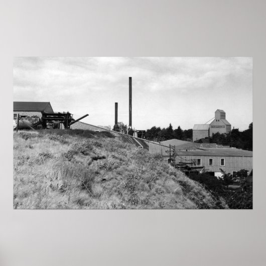 Milton, Oregon Ansicht Town Elevator Foto Poster (Vorne)