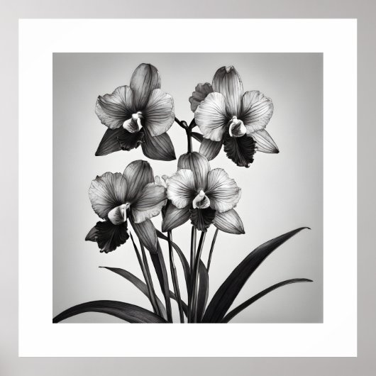 Miltonia Orchids II Monochromatische Kunstdrucke Poster (Vorne)