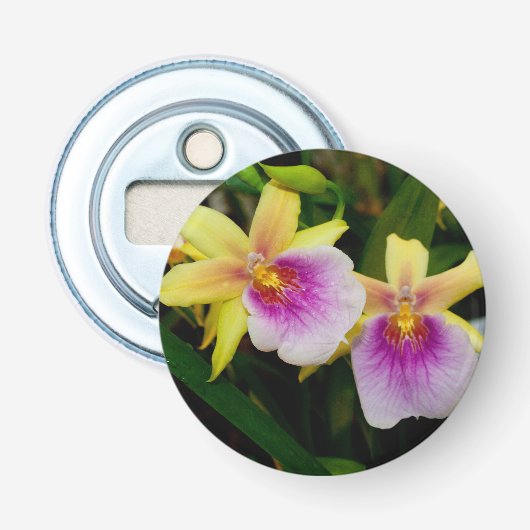 Miltonia Sunset Flaschenöffner (Vorderseite)