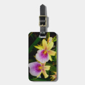 Miltonia Sunset Gepäckanhänger (Vorderseite vertikal)