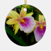 Miltonia Sunset Keramik Ornament (Vorne)