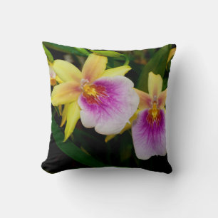 Miltonia Sunset Kissen