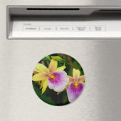 Miltonia Sunset Magnet (In Situ (Geschirrspüler))